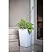 Algreen 11404 Modena Self-Watering Planters, 11 in x 21.7 in, White