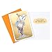 Hallmark Shoebox Funny Birthday Card Assortment (8 Cards with Envelopes) (2199RZG1003)