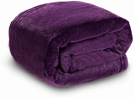 HYSEAS Velvet Bed Blanket, Light Weight Plush Luxurious Super Soft and Cozy Fuzzy Anti-Static Throw Blanket for Bed Couch Chair All Seasons, Twin Size, Purple