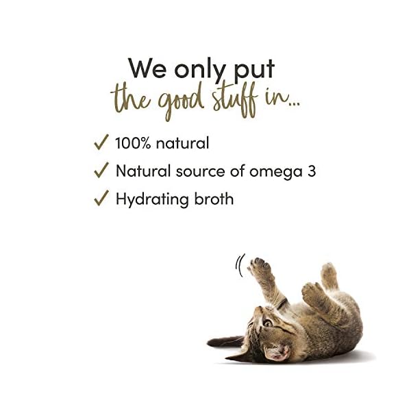 Applaws Natural Wet Cat Food, Multipack Fish Selection in Broth 70 g Tin (Pack of 12)