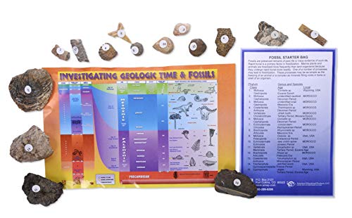 American Educational 3005B Fossil Starter Bag