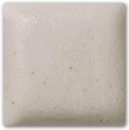 Ceramic Clay - Pottery Clay for Potters (50 lb, Best Mix Plus Cone 10)