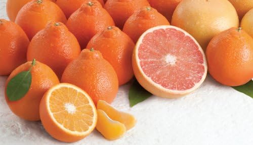 Rare Florida Honeybell Oranges Honeybell Tangelos AND Ruby Red Grapefruit Grove Fresh 15lbs
