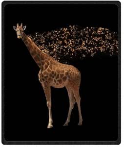 Giraffe and Butterflies Customized Design Woolen Blanket ...