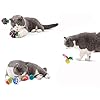 21-Pcs-Cat-Toys-for-Indoor-Cats-Collapsible-Cat-Tunnel-Interactive-Feather-Teaser-Wand-Ball-Toy-for-Kitten-Cats 21 Pcs Cat Toys for Indoor Cats Collapsible Cat Tunnel Interactive Feather Teaser Wand Ball Toy for Kitten Cats