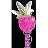 JellyBeadZ Brand - HUGE 1 Pound Water Gel - 16 Ounce. Heat Sealed Bag- Pink