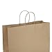 GSSUSA 16x6x12 Large Paper Bags with Handles 100Pcs, Gift Bags, Bag for Small Business Bulk, Brown Paper Shopping Bag for Boutique, Merchandise, Clothing, Grocery, Food Service Take Out