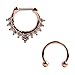 Ruifan 16G Horseshoe Circular Barbell and Nose Ear Daith Septum Clicker Ring with Clear CZ Gems 316L Surgical Steel 2PCS - Rose Gold