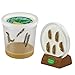 Insect Lore Cup of Caterpillars with Deluxe Chrysalis Station Live Habitat Kit Refill