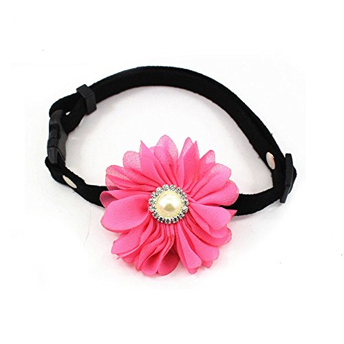 PetFavorites Designer Rhinestones Daisy Flower Charm Suede Leather Pet Cat Dog Bow Tie Collar Necklace Pearl Pets Cats Extra Small Dogs Female Puppy Yorkie Girl (Hot Pink, Size XS)