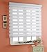 Basic, White, W 27 x H 47 inch Zebra Roller Blinds, Dual Layer Shades, Sheer or Privacy Light Control, Day and Night Window Drapes, 10 to 110 inch Wide
