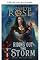 Livro Enfrentando a tempestade (Abaixo do sal Livro 6)