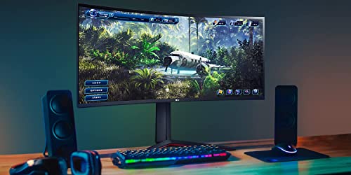 LG Ultra Gear Gaming Monitor