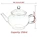 KINGSO Heat Resistant Elegant Glass Teapot with Glass Filter 250ml / 8oz