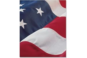 EGPCHECKS EGP Income Tax Return Folder - American Flag - 50 Folders, 9" x 12"