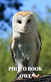 Image de PHOTO BOOK : OWL