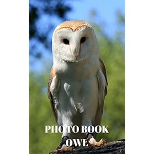 PHOTO BOOK : OWL