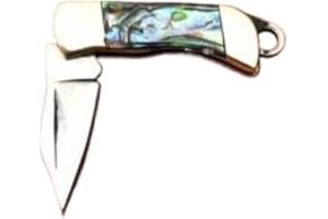 Mini Pocket Knife with Abalone Pearl Handle, Miniature Working Blade, 1.89 Inch Length, Brass and Steel Construction, Keychai