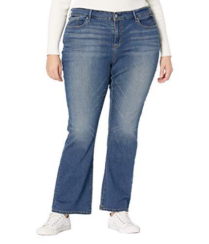 Co. Gold Label Women's Modern Bootcut Jean