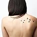 Tattify Birds Temporary Tattoo - Flock Yeah (Set of 2) - Other Styles Available - Fashionable Temporary Tattoos