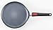 Woll Nowo Titanium Crepe Pan with Detachable Handle, 10.25-Inch
