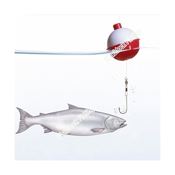 Shaddock-Fishing–25pcspack-1inch-Hard-ABS-Push-Button-Fishing-Floats-Bobbers