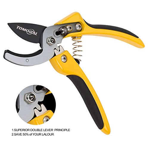 TOMORAL Professional SK-5 Steel Blade Anvil Pruning Shears(TM-PS-001), Cushion Shock Absorber Design, Ergonomically Design Handle. - Thumbnail 7
