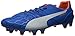 PUMA Men's Evospeed 1.4FG Soccer Shoe