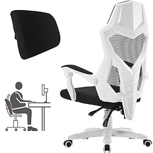 HOMEFUN Ergonomic Office Chair, High Back Executive Desk Chair Adjustable Comfortable Task Chair with Armrests with…
