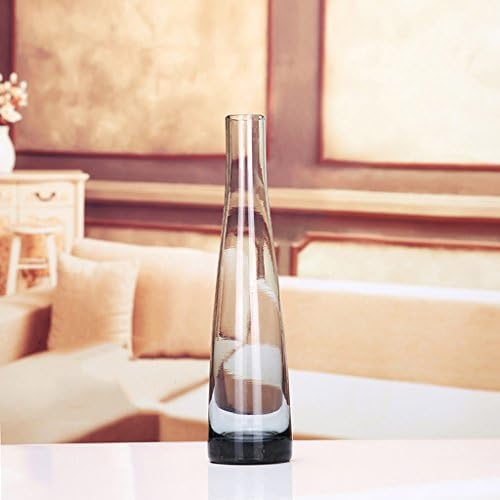 Vases GAODUZI Fashion Single Color Transparent Rose Glass Small Flower Hydroponic Flower Plug Living Room (Color : C)