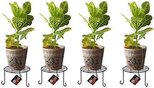 Erbanize® 9 inch Iron Plant Stand/Planter Stand/Flower Pot Stand/Plant Holder Gamla Stand for Home, Office, Balcony, Garden, Living Room. Set of 04 Pcs