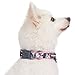 Blueberry Pet 6 Patterns Soft & Comfy Welcoming Spring Rose Flower Prints Girly Padded Dog Collar, Small, Neck 12