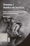 Pewmas / Sueños de justicia: Lonkos y dirigentes mapuche versus Chile en la Corte Interamericana (Spanish Edition) by Ruth Vargas