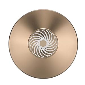 Garsent Platenstabilisatorklem, platenspeler-aluminium platen-gewichtsklem in premium kwaliteit, goud