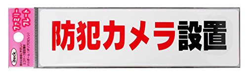 光 プレート 防犯カメラ設置 KP164-17