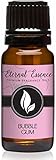Bubble Gum Premium Grade Fragrance Oil - 10ml - Scented Oil