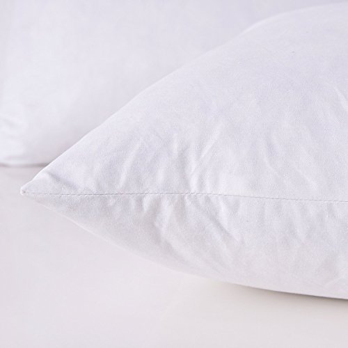 HOMESJUN Set of 2, Feather and Down Square Decorative Throw Pillow Insert, 100percent Cotton,White,20x20