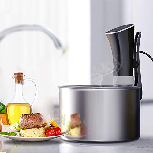CISNO Sous Vide Cooker, 1000W Thermal Immersion Cooking Circulator, Accurate Temperature Control, 99 Hours Timer, Led Display, Cook Like A Pro Chef, Free Seal Bags & Hand Pump