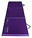 Z-Athletic 2ft x 6ft x 2in Gymnastics & Exercise Folding Mats
