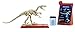 JURASSIC WORLD STEM FOSSIL STRIKERS Velociraptor