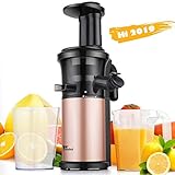 Juicer Amzdeal Slow Juicer - Masticating Juicer Machine Cold Press Juicer BPA Free for High Nutrient Fruits and Vegetables Juice Easy to Clean 200w