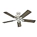 Hunter Matheston Indoor / Outdoor Ceiling Fan with Light and Pull Chain Control