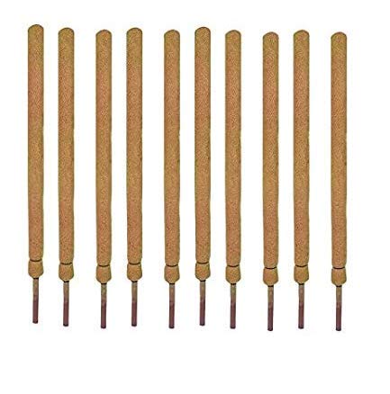 COIR GARDEN Coir Moss Stick 3 feet Plant Support - Coco Pole Stick (Pack of 10) - Coir Moss Stick for Money Plant Support, housing & Indoor Plants