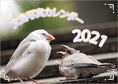 Amazon Co Jp Amazon Co Jp 限定 文鳥 鳥写真カレンダー21 B6サイズ ワンタッチで卓上にも壁掛けにもなる3wayカレンダー Ephoenix 本