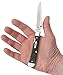 Case Trapperlock Pocket Knives