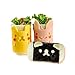 Witkey 5 Pcs ! Bento Accessories Bears Seals Bunny Chick Bear Shape DIY Rice Ball Mould Korean Laver Take Boarder Sushi Mold Sandwich Mold Mould Cutter Stamp