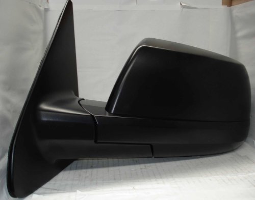 TYC Door Mirror - 5330132
