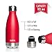 MIRA Stainless Steel Vacuum Insulated Water Bottle | Leak-Proof Double Walled Cola Shape Bottle | Keeps Drinks Cold for 24 Hours & Hot for 12 Hours (Ruby Red, 12 oz)