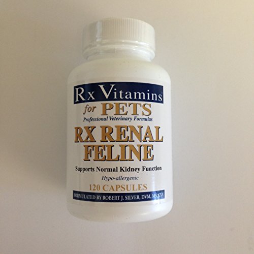 Multi & Prenatal Vitamins Rx Renal Feline 120c 11street Malaysia