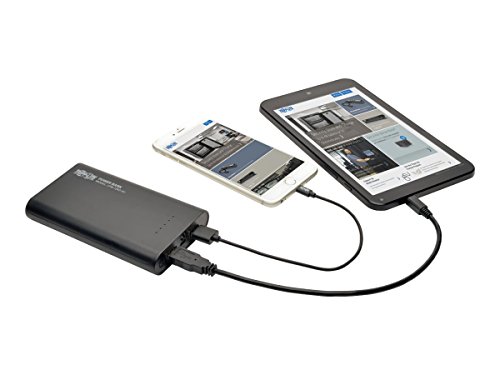 TRIPP LITE Portable 12,000mAh Mobile Power Bank USB Battery Charger, Dual Port (UPB-12K0-2U)